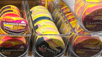 Navigating the Green Jungle: A Beginner’s Guide to Top Cannabis Brands