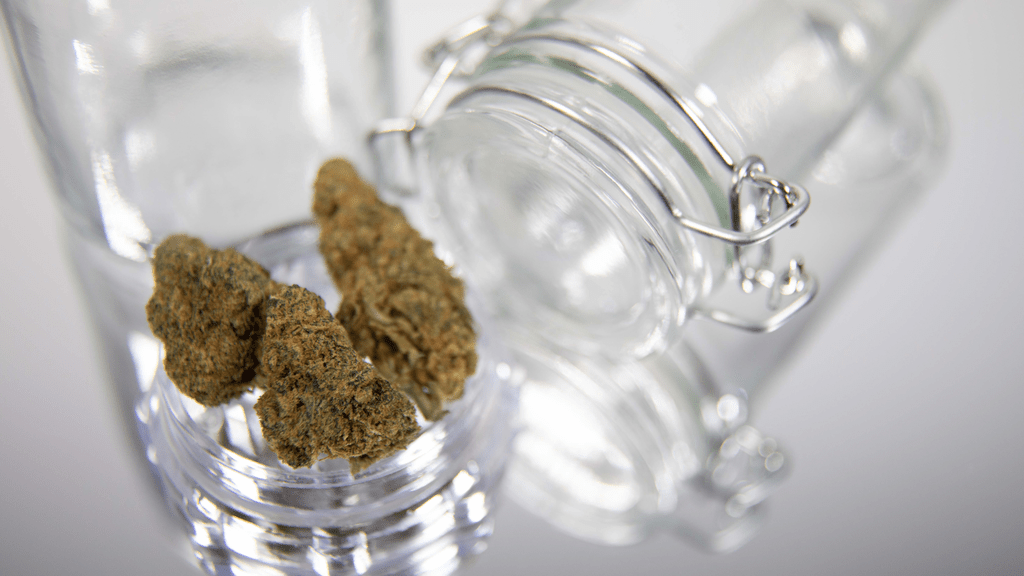 Why Cannabis Education Is Central to Florida’s Water Safety Enforcement